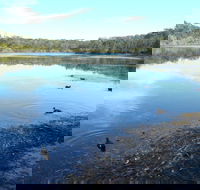 Berrara Creek - Accommodation Great Ocean Road