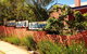 Cactus Cafe And Gallery - thumb 0