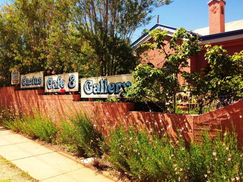 Cactus Cafe And Gallery - Accommodation Great Ocean Road 0