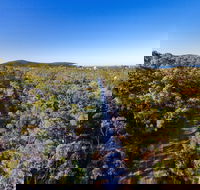 Capricorn Coast Pineapple Rail Trail - Accommodation Great Ocean Road