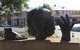 Celebration Of Life Statue Barmera - thumb 0