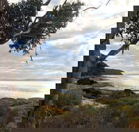 Fish Cannery Walking Trail - Accommodation Great Ocean Road