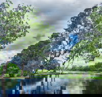 Gold Coast Regional Botanic Gardens - Accommodation Great Ocean Road