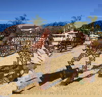 Gundersen Reserve - Accommodation Great Ocean Road