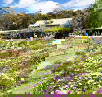 Kate's Berry Farm - Accommodation Great Ocean Road