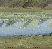 Leaning Tree Lagoon Nature Park - Accommodation Great Ocean Road
