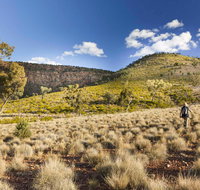 Little Mountain Walking Track