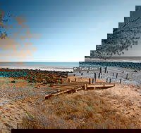 Mon Repos Beach - Accommodation Great Ocean Road