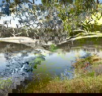 Murray Valley National Park - Accommodation Great Ocean Road