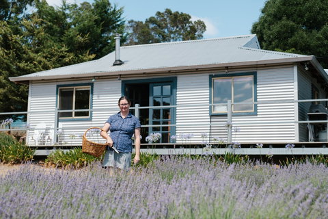 Nannup Lavender Farm - Accommodation Great Ocean Road 1