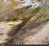 Red Rocks trig walking track - Accommodation Great Ocean Road