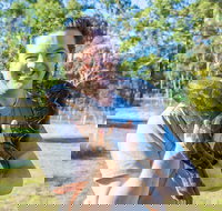 Serpentarium Wildlife Park Tasmania - Accommodation Great Ocean Road