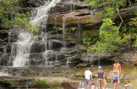 Somersby Falls Picnic Area - Accommodation Great Ocean Road 0