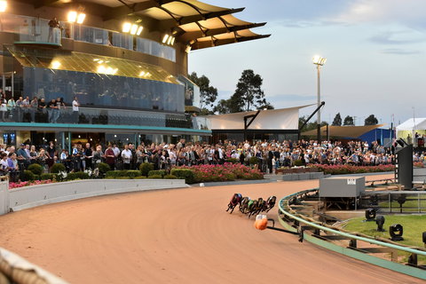 The Meadows - Accommodation Great Ocean Road 1