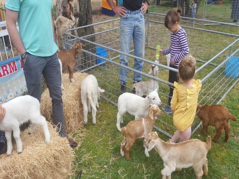 Animal Farm Visit - Accommodation Great Ocean Road 2