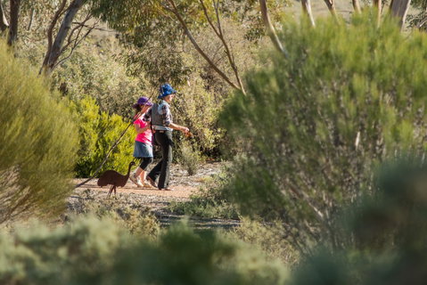 Australian Arid Lands Botanic Garden - Accommodation Great Ocean Road 0
