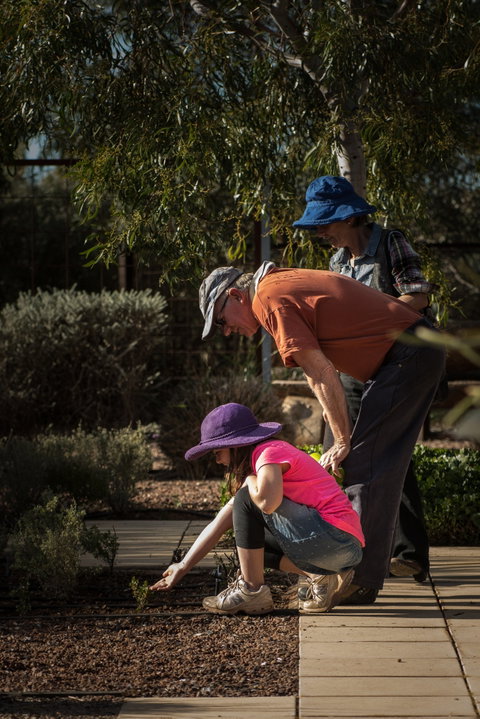 Australian Arid Lands Botanic Garden - Accommodation Great Ocean Road 1