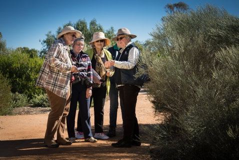 Australian Arid Lands Botanic Garden - Accommodation Great Ocean Road 2