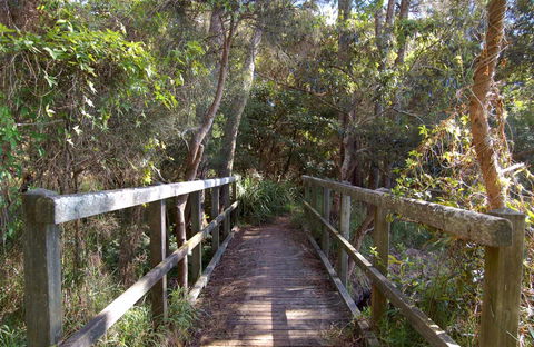 Awaba Bay Foreshore Walk - Accommodation Great Ocean Road 0