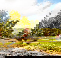 Bright - Accommodation Great Ocean Road