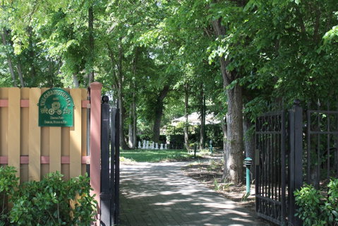 Bungendore Heritage Walk - Accommodation Great Ocean Road 0