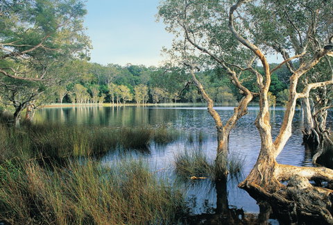 Cooloola, Great Sandy National Park - Accommodation Great Ocean Road 1