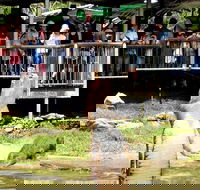 Crocodylus Park and Zoo - Accommodation Great Ocean Road