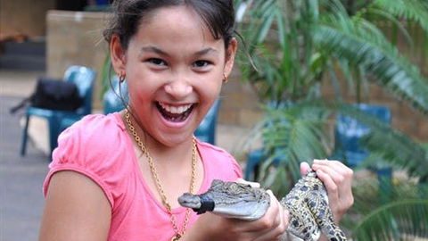 Crocodylus Park And Zoo - Accommodation Great Ocean Road 1