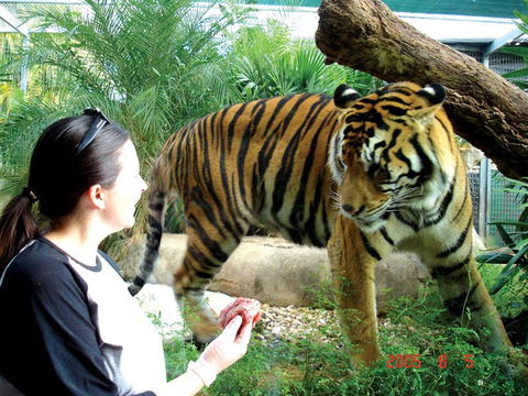 Crocodylus Park And Zoo - Accommodation Great Ocean Road 2
