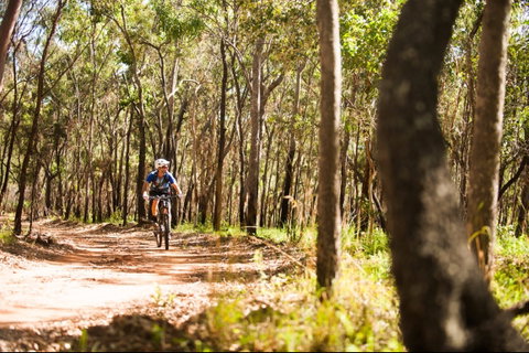 Davies Creek Mountain Bike Park - Accommodation Great Ocean Road 1