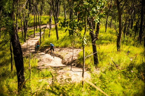 Davies Creek Mountain Bike Park - Accommodation Great Ocean Road 2