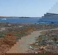 Elliston Coastal Trail - Accommodation Great Ocean Road