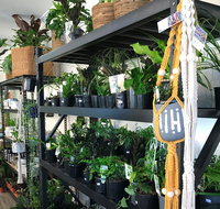 Fancy Plants - Accommodation Great Ocean Road