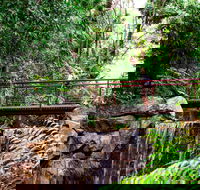 George Brown Darwin Botanic Gardens - Accommodation Great Ocean Road