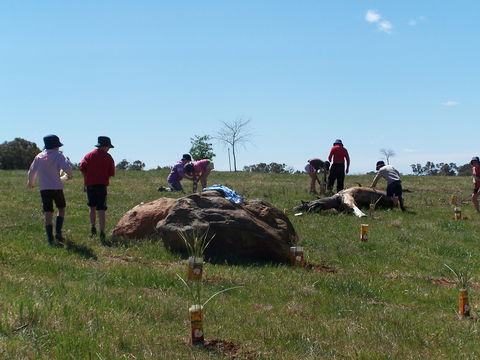 Jim Salmon  Wetland Education Site - Accommodation Great Ocean Road 0