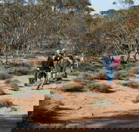 Mallee Stop walking track - Accommodation Great Ocean Road