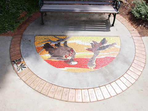 Mosaic Pathway (WASS) - Accommodation Great Ocean Road 2