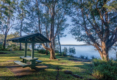 Queens Lake Picnic Area - Accommodation Great Ocean Road 0