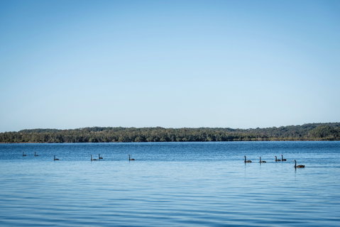 Queens Lake Picnic Area - Accommodation Great Ocean Road 1