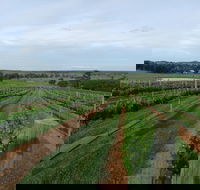 Razorback Cawdor Camden Park - Accommodation Great Ocean Road