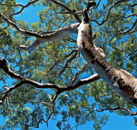 Ridge Walking Track - Accommodation Great Ocean Road