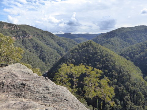 Vale Of Avoca - Accommodation Great Ocean Road 0