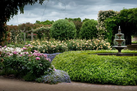 Alowyn Gardens And Nursery - Accommodation Great Ocean Road 1