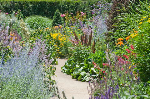 Alowyn Gardens And Nursery - Accommodation Great Ocean Road 2