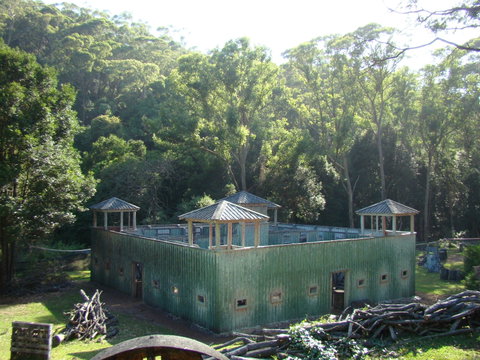 Alpha Paintball - Accommodation Great Ocean Road 0