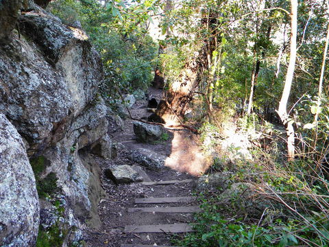 Bens Walk - Accommodation Great Ocean Road 2