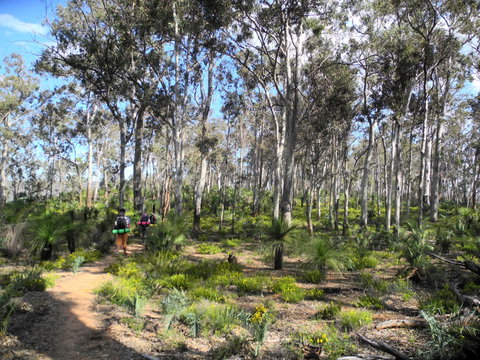Bibbulmun Track - Accommodation Great Ocean Road 1