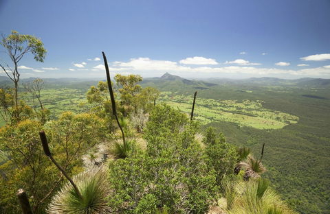 Border Ranges National Park - Accommodation Great Ocean Road 0