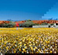 Coorow Farm Wildflower Trail - Accommodation Great Ocean Road