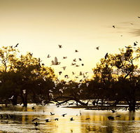 Kinchega Homestead Billabong Walk